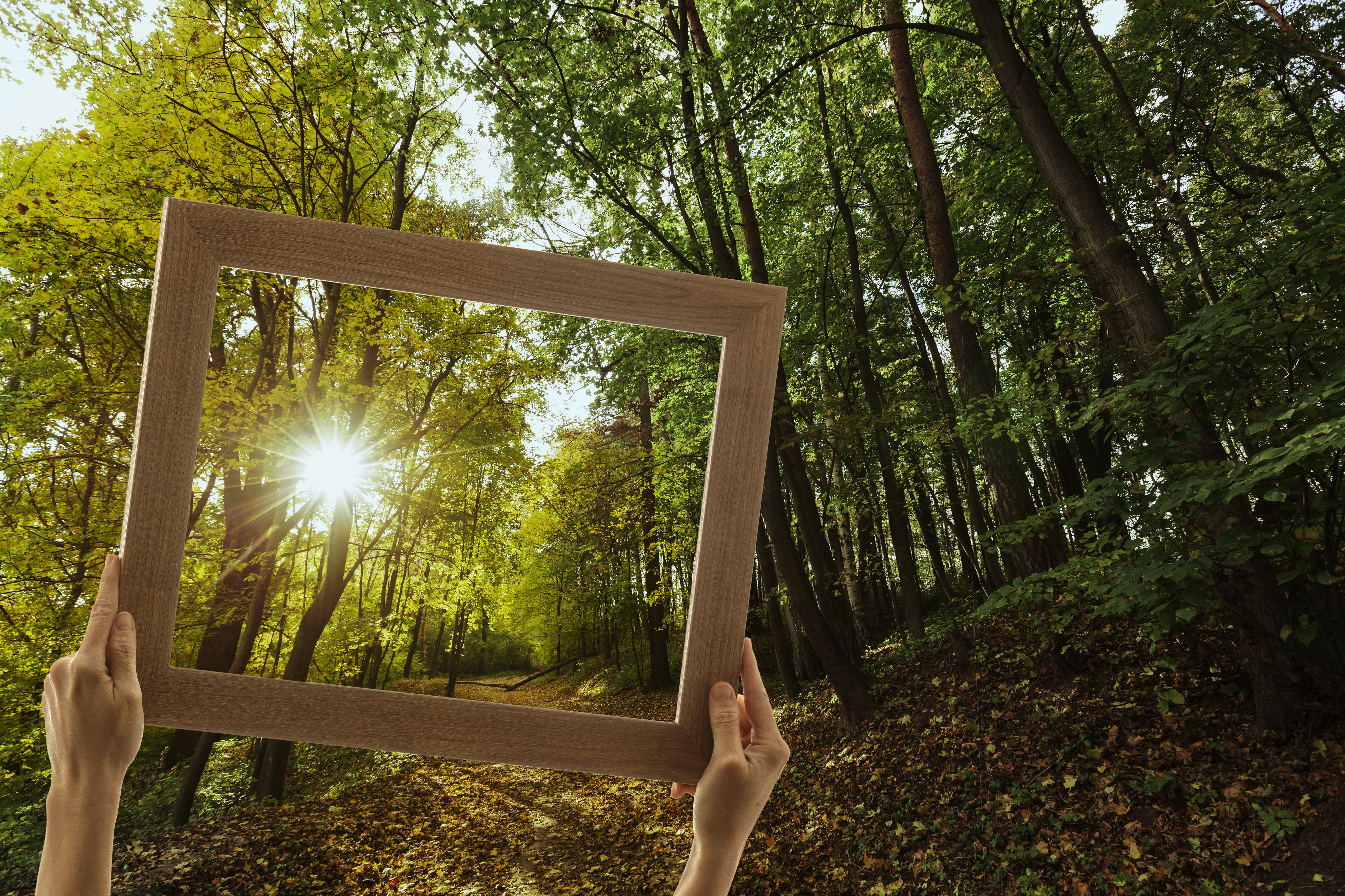 Photo Mon accompagnement médical 1